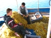 Greece 121